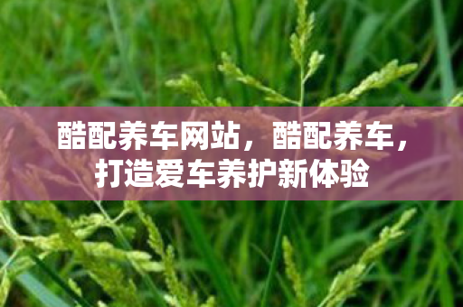 酷配养车网站，酷配养车，打造爱车养护新体验