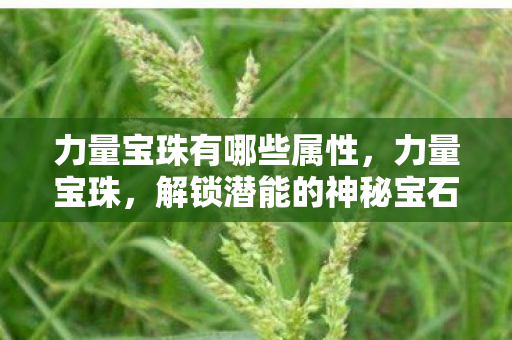 力量宝珠有哪些属性，力量宝珠，解锁潜能的神秘宝石