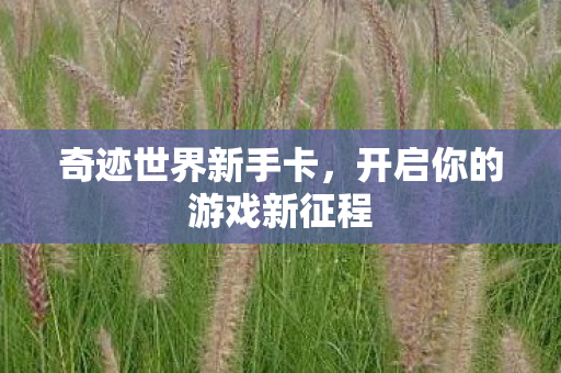 奇迹世界新手卡，开启你的游戏新征程