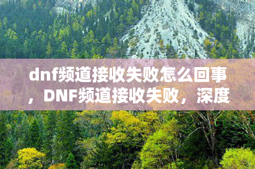 dnf频道接收失败怎么回事,DNF频道接收失败,深度解析与解决方案 dnf频道接收失败怎么回事,DNF频道接收失败,深度解析与解决方案