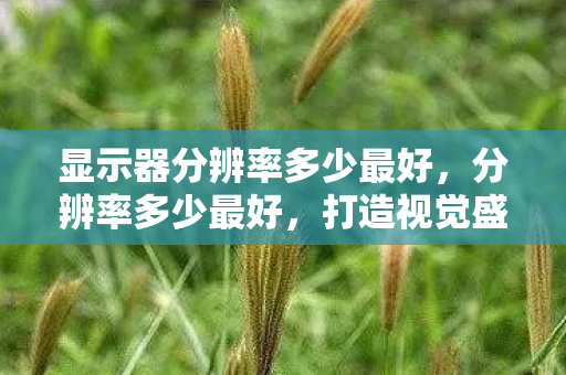 显示器分辨率多少最好，分辨率多少最好，打造视觉盛宴的终极指南
