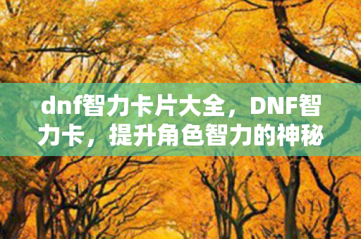 dnf智力卡片大全，DNF智力卡，提升角色智力的神秘宝物