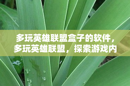 多玩英雄联盟盒子的软件，多玩英雄联盟，探索游戏内外的多元乐趣