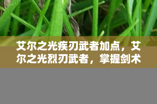 艾尔之光疾刃武者加点，艾尔之光烈刃武者，掌握剑术精髓，成为战场上的霸主