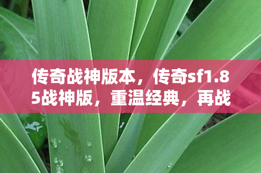 传奇战神版本，传奇sf1.85战神版，重温经典，再战江湖