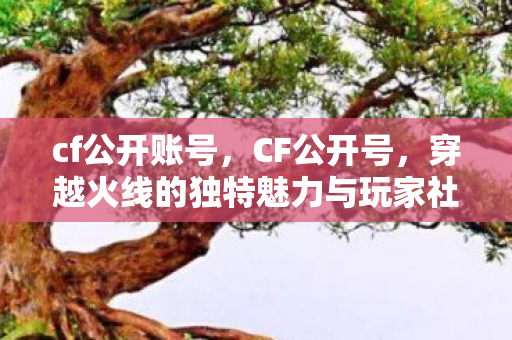 cf公开账号,CF公开号,穿越火线的独特魅力与玩家社区 cf公开账号,CF公开号,穿越火线的独特魅力与玩家社区