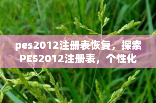 pes2012注册表恢复，探索PES2012注册表，个性化游戏体验的钥匙