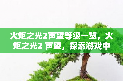 火炬之光2声望等级一览,火炬之光2 声望,探索游戏中的荣耀与成就 火炬之光2声望等级一览,火炬之光2 声望,探索游戏中的荣耀与成就