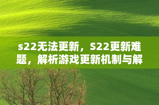 s22无法更新，S22更新难题，解析游戏更新机制与解决方案