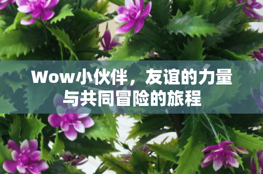 Wow小伙伴，友谊的力量与共同冒险的旅程