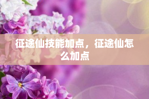 征途仙技能加点，征途仙怎么加点