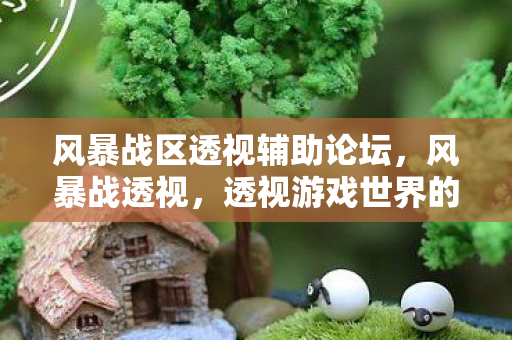 风暴战区透视辅助论坛，风暴战透视，透视游戏世界的深层奥秘