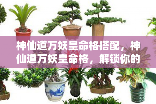 神仙道万妖皇命格搭配，神仙道万妖皇命格，解锁你的传奇之路