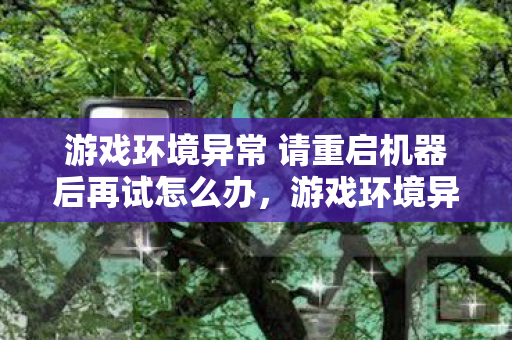 游戏环境异常 请重启机器后再试怎么办，游戏环境异常，重启机器，共创美好游戏体验