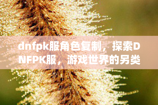 dnfpk服角色复制,探索DNFPK服,游戏世界的另类体验 dnfpk服角色复制,探索DNFPK服,游戏世界的另类体验