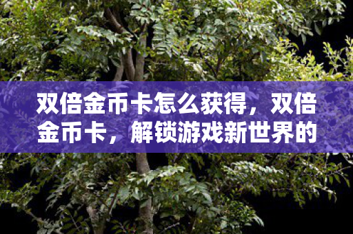双倍金币卡怎么获得，双倍金币卡，解锁游戏新世界的钥匙