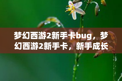 梦幻西游2新手卡bug,梦幻西游2新手卡,新手成长路上的贴心助手 梦幻西游2新手卡bug,梦幻西游2新手卡,新手成长路上的贴心助手