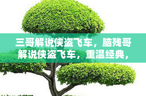 三哥解说侠盗飞车，脑残哥解说侠盗飞车，重温经典，探索自由世界的无限可能