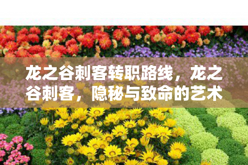 龙之谷刺客转职路线,龙之谷刺客,隐秘与致命的艺术 龙之谷刺客转职路线,龙之谷刺客,隐秘与致命的艺术