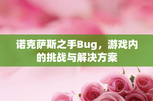 诺克萨斯之手Bug，游戏内的挑战与解决方案