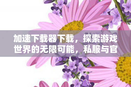 加速下载器下载，探索游戏世界的无限可能，私服与官方服务器的独特魅力对比