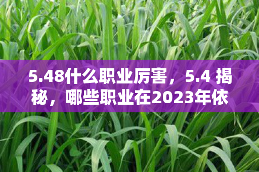 5.48什么职业厉害，5.4 揭秘，哪些职业在2023年依然强势