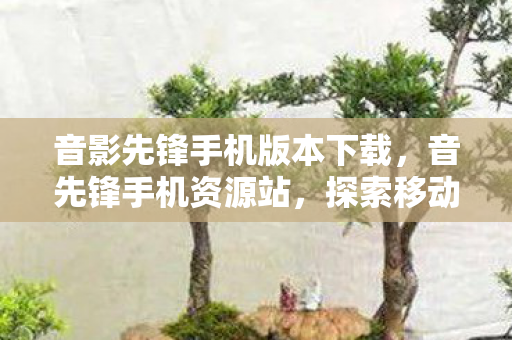 音影先锋手机版本下载,音先锋手机资源站,探索移动娱乐的新境界 音影先锋手机版本下载,音先锋手机资源站,探索移动娱乐的新境界
