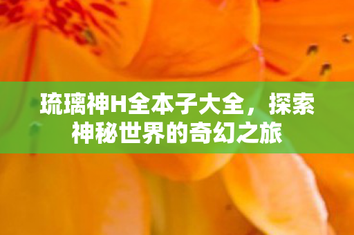 琉璃神H全本子大全,探索神秘世界的奇幻之旅 琉璃神H全本子大全,探索神秘世界的奇幻之旅