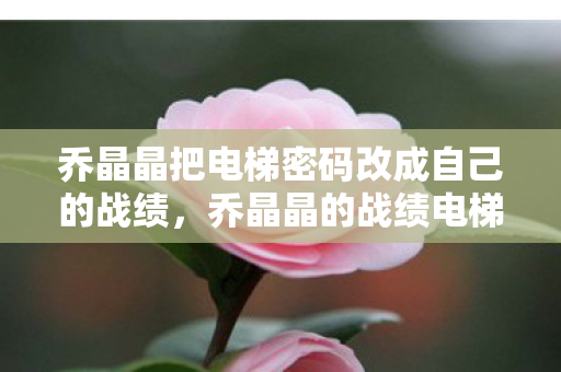 乔晶晶把电梯密码改成自己的战绩，乔晶晶的战绩电梯密码，荣耀与梦想的交织