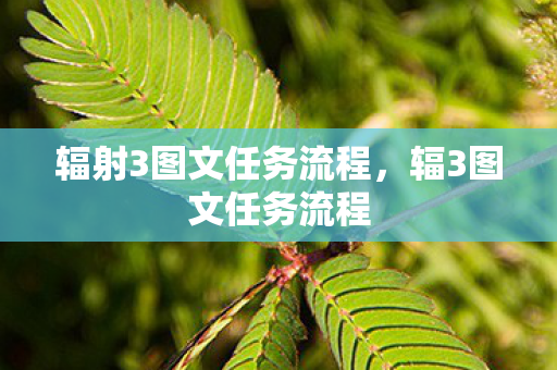 辐射3图文任务流程，辐3图文任务流程