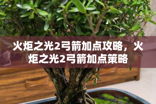 火炬之光2弓箭加点攻略,火炬之光2弓箭加点策略 火炬之光2弓箭加点攻略,火炬之光2弓箭加点策略