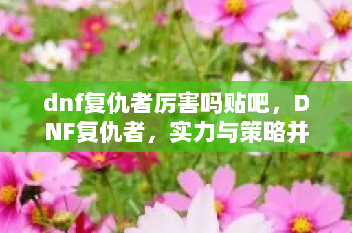 dnf复仇者厉害吗贴吧，DNF复仇者，实力与策略并重的战斗大师