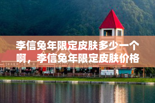 李信兔年限定皮肤多少一个啊，李信兔年限定皮肤价格揭秘，美丽与价值的双重盛宴