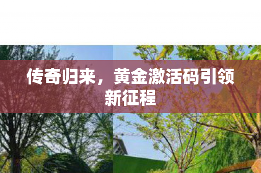 传奇归来，黄金激活码引领新征程
