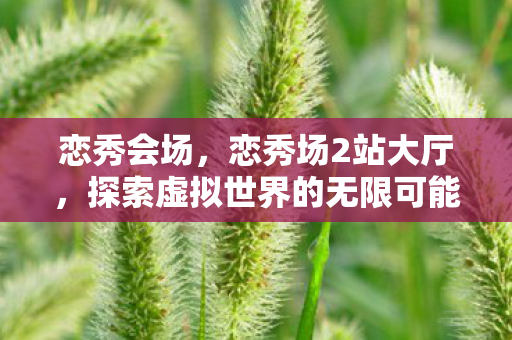 恋秀会场，恋秀场2站大厅，探索虚拟世界的无限可能