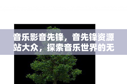 音乐影音先锋，音先锋资源站大众，探索音乐世界的无限可能