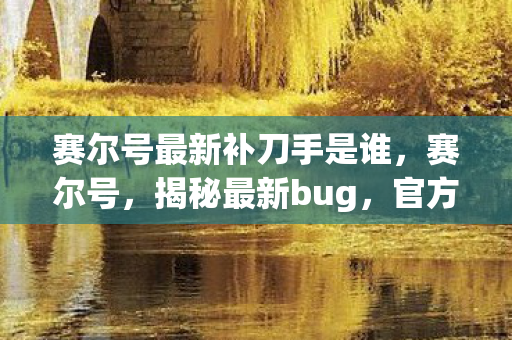赛尔号最新补刀手是谁，赛尔号，揭秘最新bug，官方紧急修复中