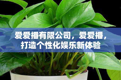 爱爱播有限公司，爱爱播，打造个性化娱乐新体验