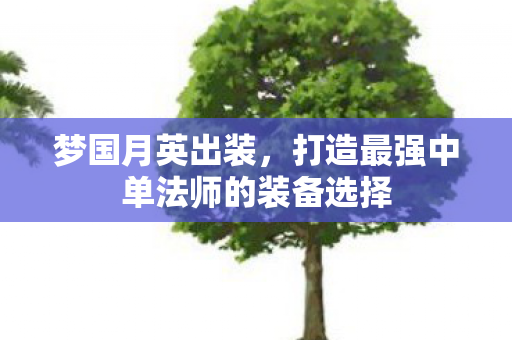 梦国月英出装,打造最强中单法师的装备选择 梦国月英出装,打造最强中单法师的装备选择