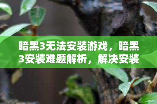 暗黑3无法安装游戏，暗黑3安装难题解析，解决安装过程中的常见问题
