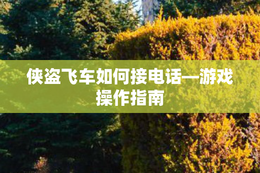 侠盗飞车如何接电话—游戏操作指南