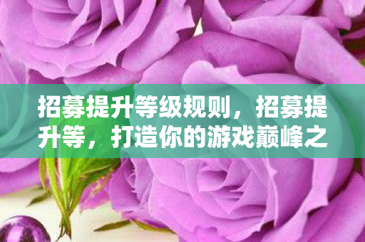招募提升等级规则，招募提升等，打造你的游戏巅峰之旅