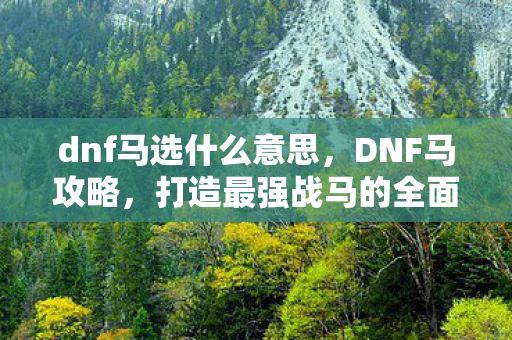 dnf马选什么意思，DNF马攻略，打造最强战马的全面指南