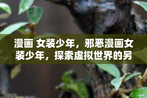 漫画 女装少年，邪恶漫画女装少年，探索虚拟世界的另类美学