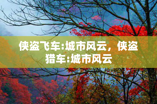 侠盗飞车:城市风云，侠盗猎车:城市风云
