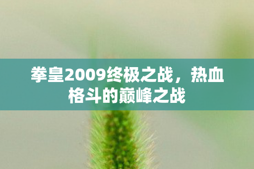 拳皇2009终极之战，热血格斗的巅峰之战