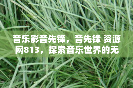 音乐影音先锋，音先锋 资源网813，探索音乐世界的无限可能