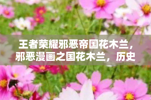 王者荣耀邪恶帝国花木兰，邪恶漫画之国花木兰，历史与文化的碰撞