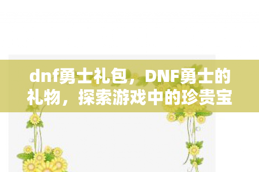 dnf勇士礼包，DNF勇士的礼物，探索游戏中的珍贵宝藏