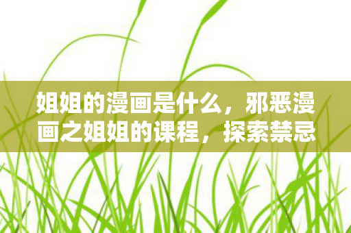 姐姐的漫画是什么，邪恶漫画之姐姐的课程，探索禁忌之美的独特魅力